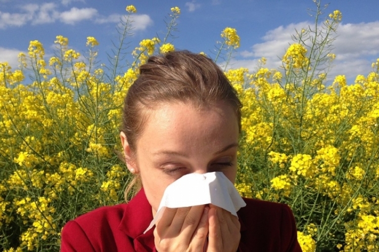 Egyre kisebb a pollenek szerepe az allergiában