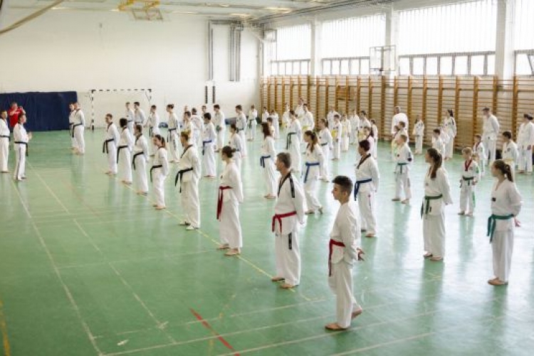 Barátságos Taekwondo