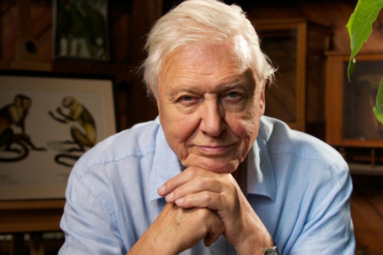 Az óceánok védelmére szólított fel Sir David Attenborough