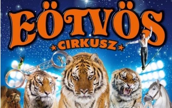 Eötvös cirkusz 2017! – Új Szuper produkció!!